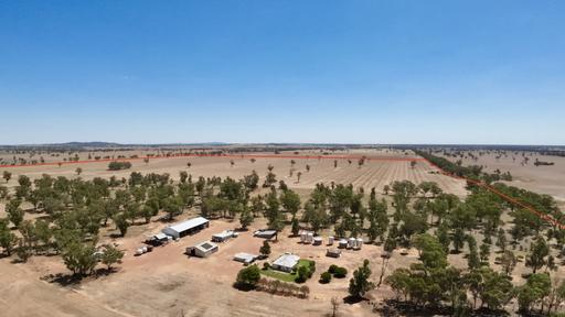 159 Noakes Road, Bribbaree NSW 2594