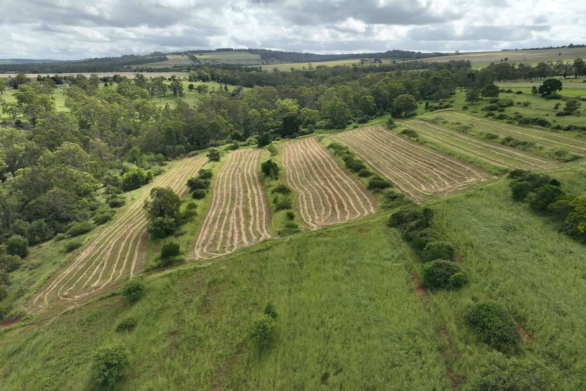 34 Bellottis Road, Oakdale For Sale by Farmbuy.com - image 22