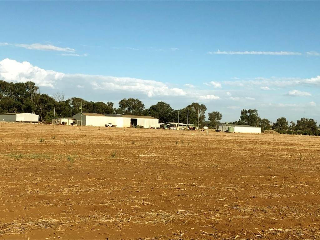 Midlands Road, Dongara For Sale by Farmbuy.com - image 2