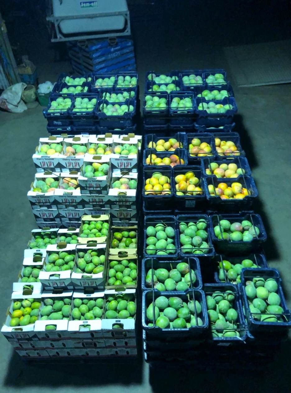 Midlands Road, Dongara For Sale by Farmbuy.com - image 13