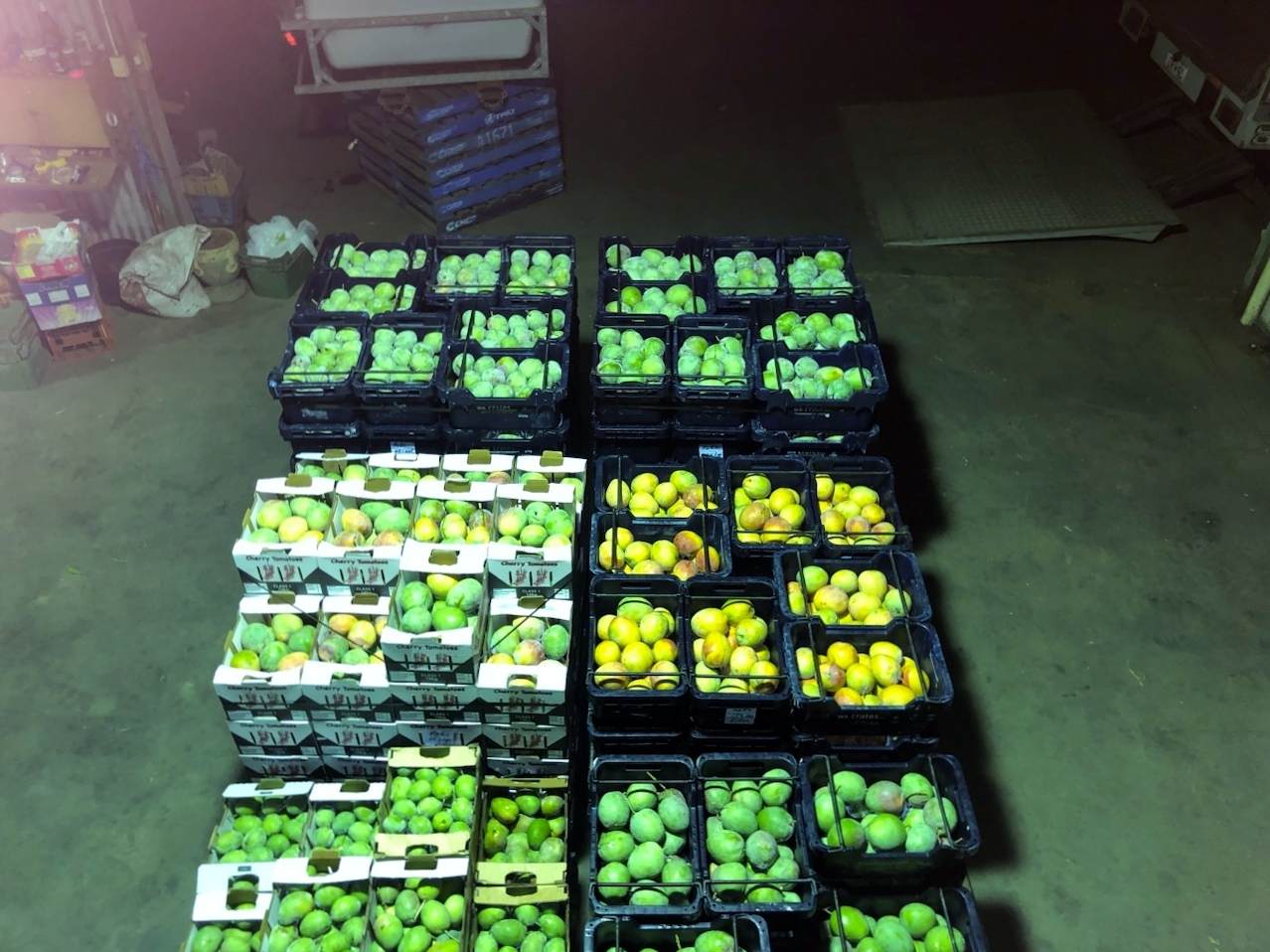 Midlands Road, Dongara For Sale by Farmbuy.com - image 14