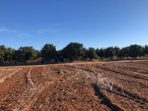 Midlands Road, Dongara WA 6525