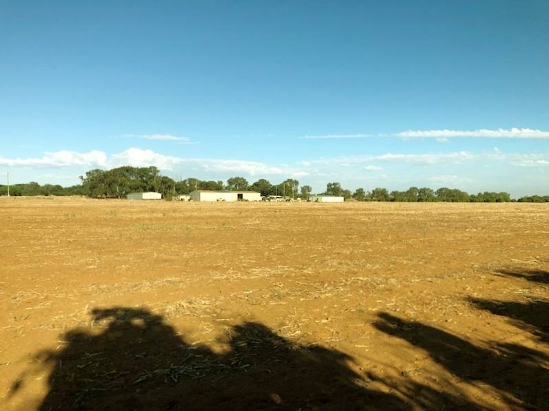 Midlands Road, Dongara For Sale by Farmbuy.com - image 9