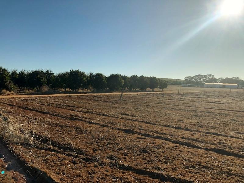 Midlands Road, Dongara For Sale by Farmbuy.com - image 10