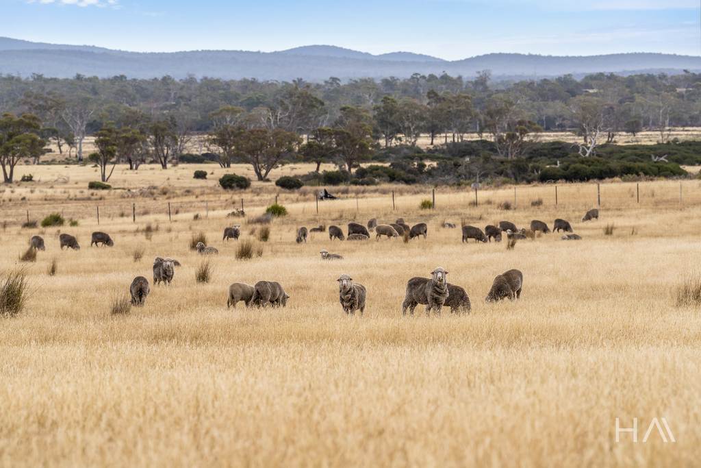 Lot 50 Springs Road, Swansea TAS 7190