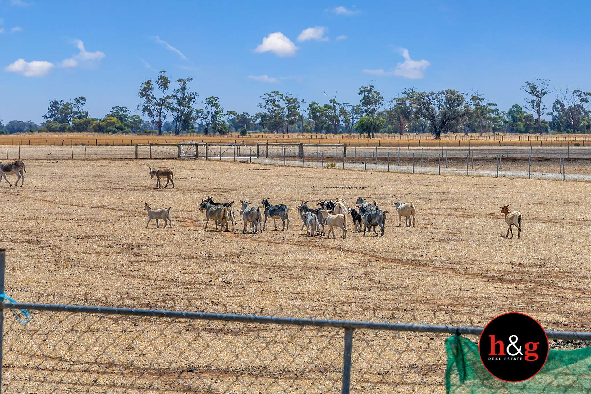 440 Sinclair Road, Kyabram For Sale by Farmbuy.com - image 26
