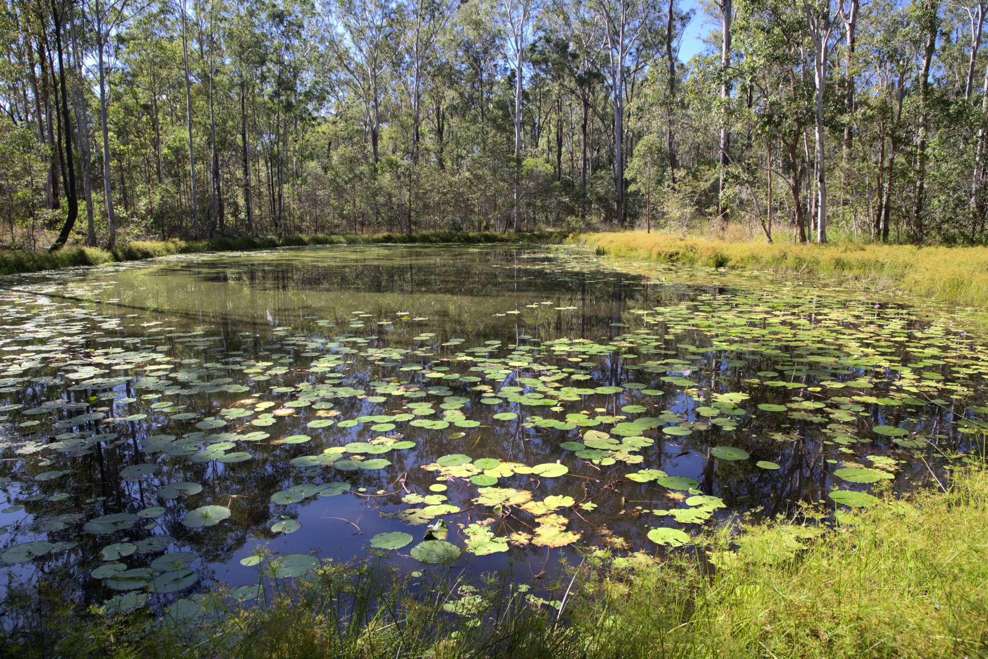 49 Arborfourteen Road, Glenwood For Sale by Farmbuy.com - image 17