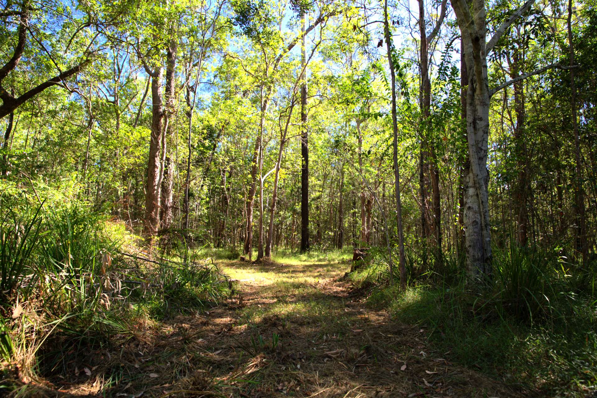 49 Arborfourteen Road, Glenwood For Sale by Farmbuy.com - image 26