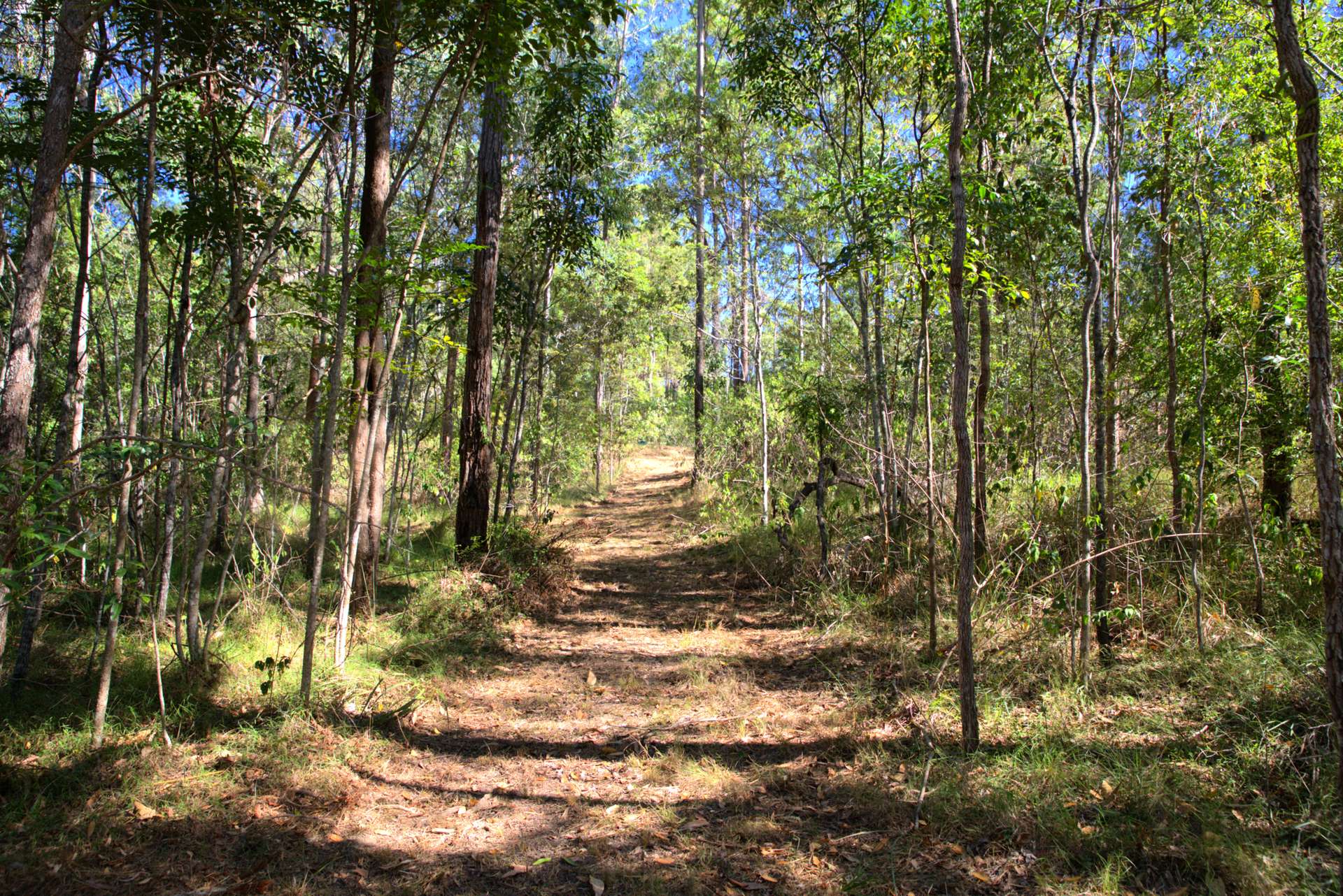 49 Arborfourteen Road, Glenwood For Sale by Farmbuy.com - image 25