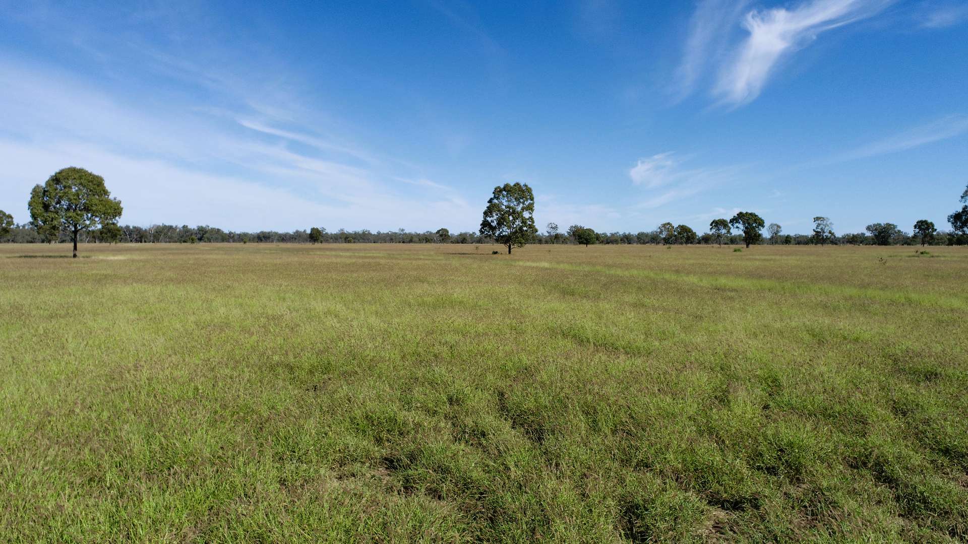 'Glencoe' 28547 Carnarvon Highway, Roma For Sale by Farmbuy.com - image 20