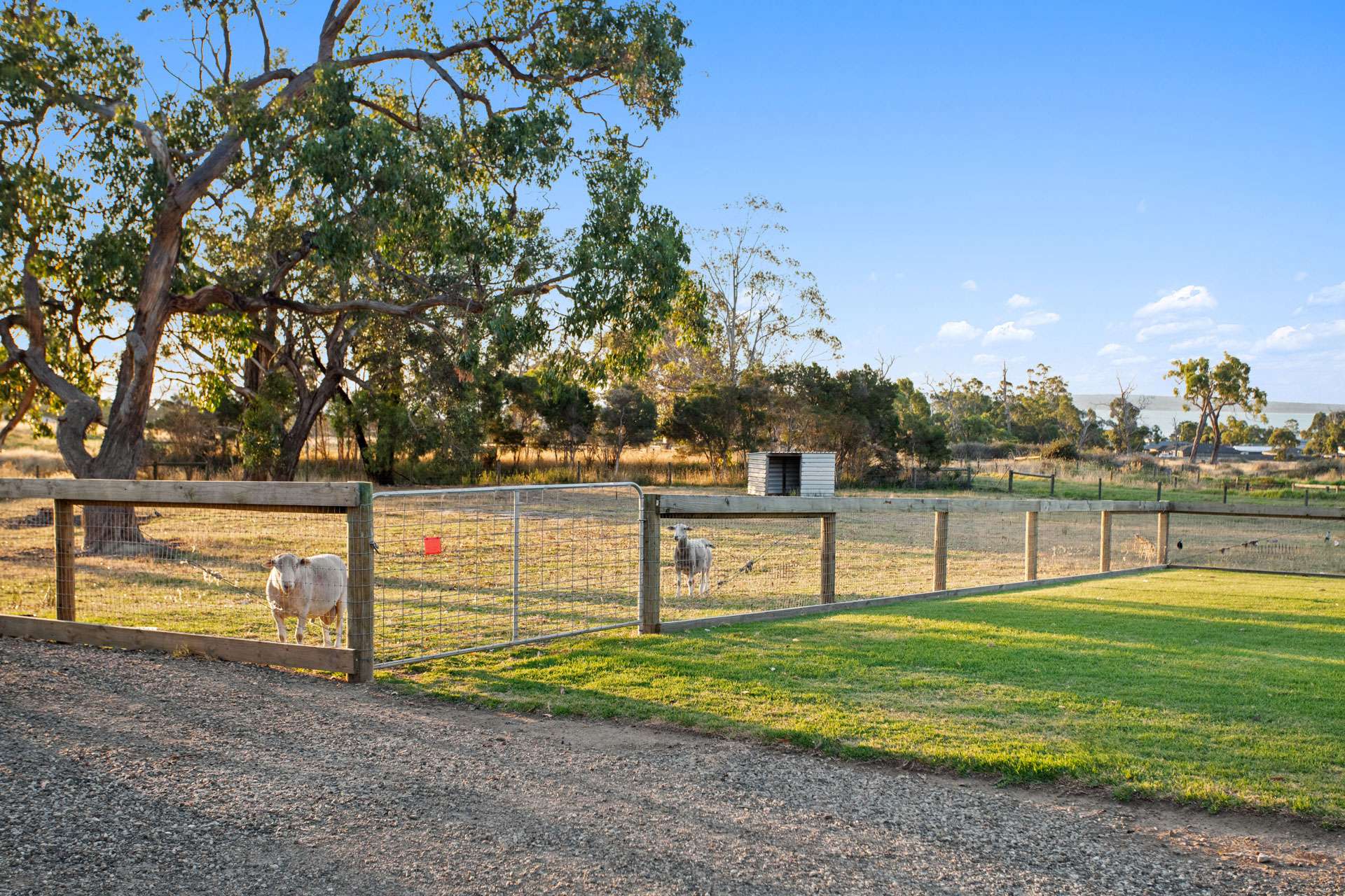 68A Acacia Road, Grantville For Sale by Farmbuy.com - image 35