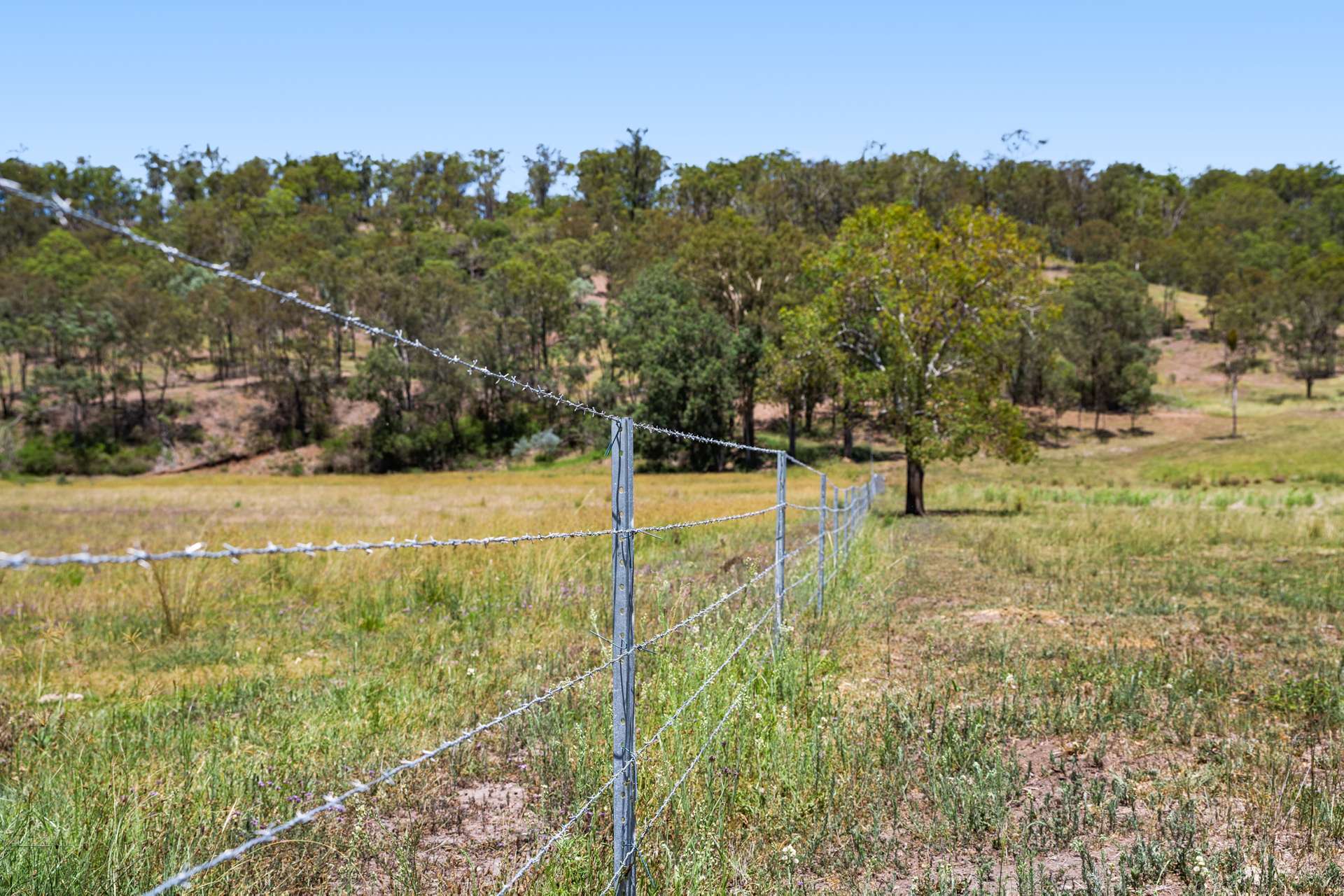 374 Voll Road, Crows Nest Auction by Farmbuy.com - image 28