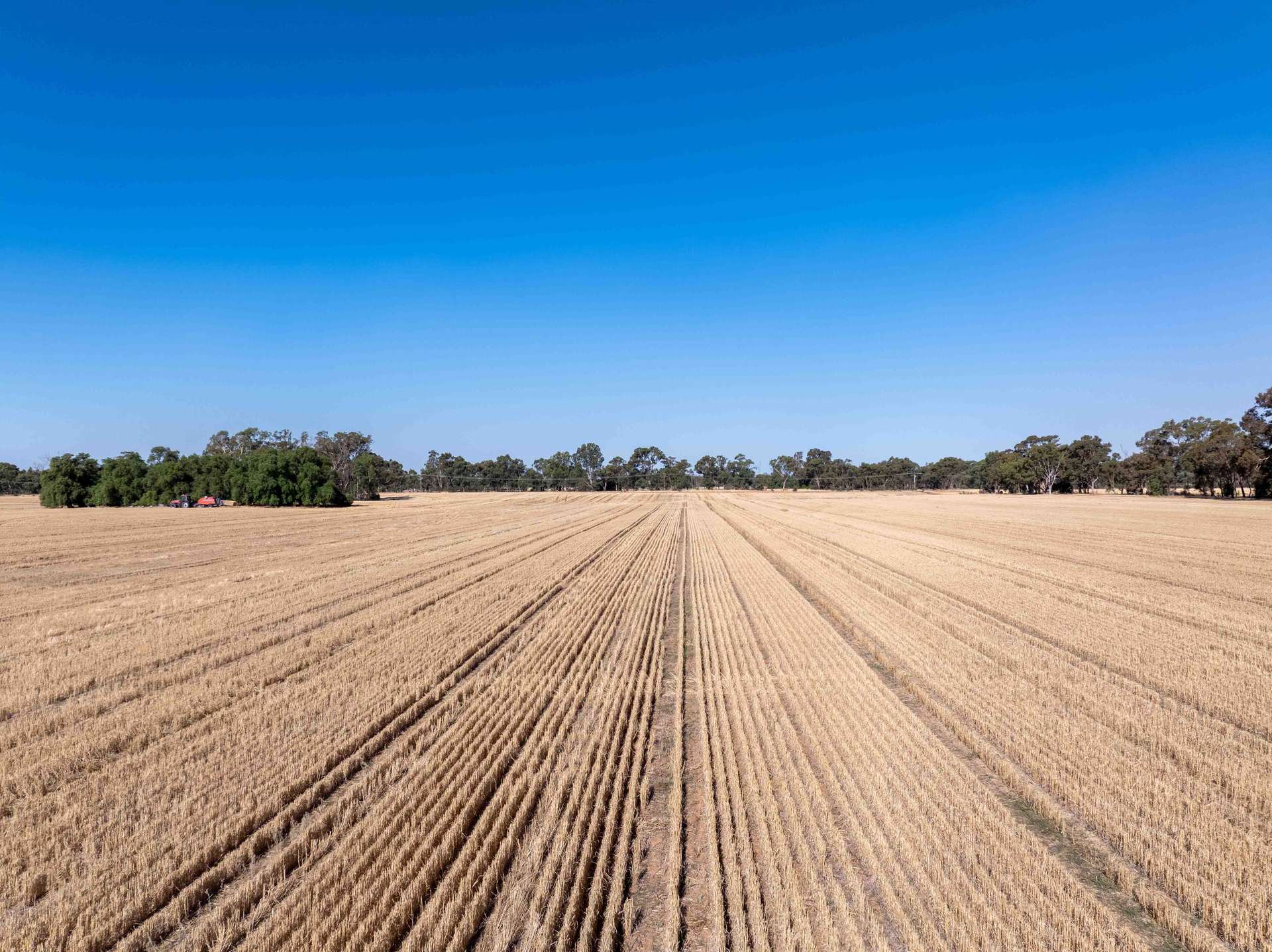 96 Odwyer Road, Tabilk For Sale by Farmbuy.com - image 1