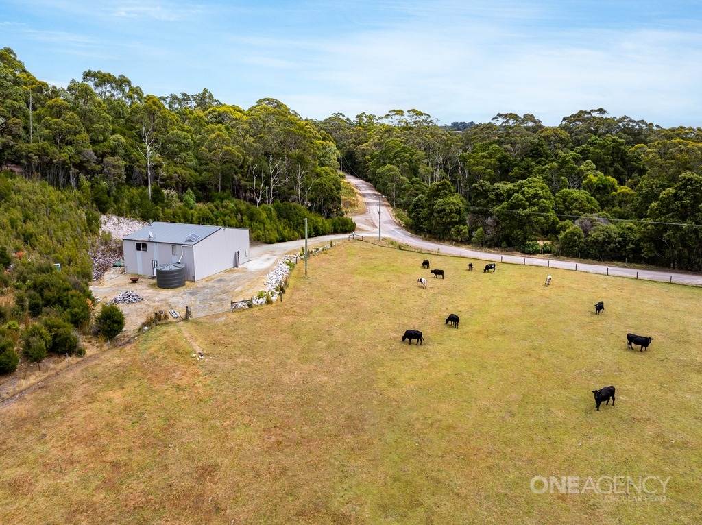 343 Tierneys Road, Mengha For Sale by Farmbuy.com - image 15