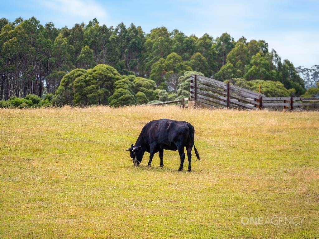 343 Tierneys Road, Mengha For Sale by Farmbuy.com - image 17