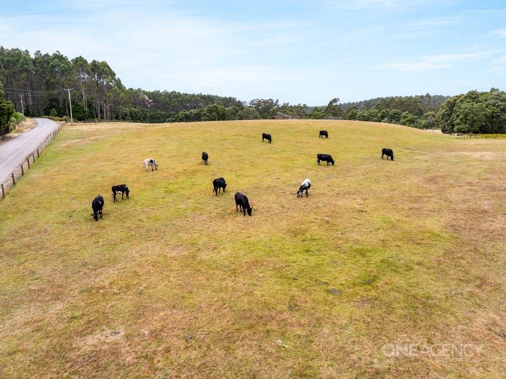 343 Tierneys Road, Mengha For Sale by Farmbuy.com - image 16