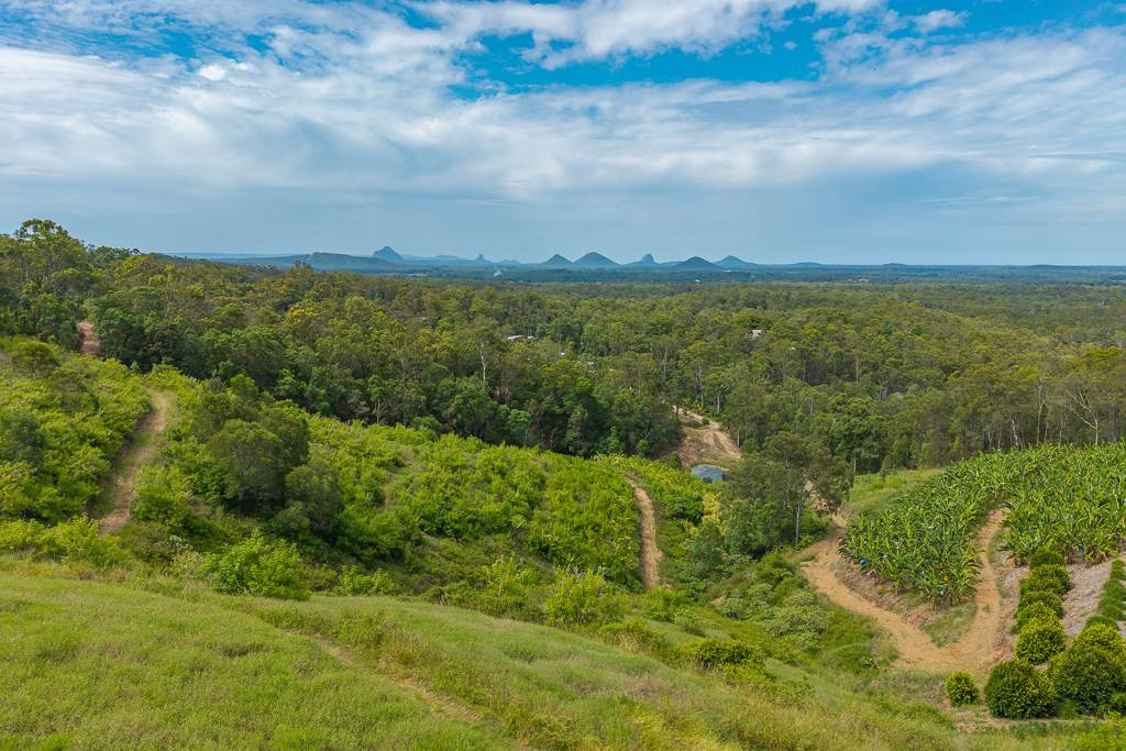 349 Jackson Road, Wamuran For Sale by Farmbuy.com - image 32