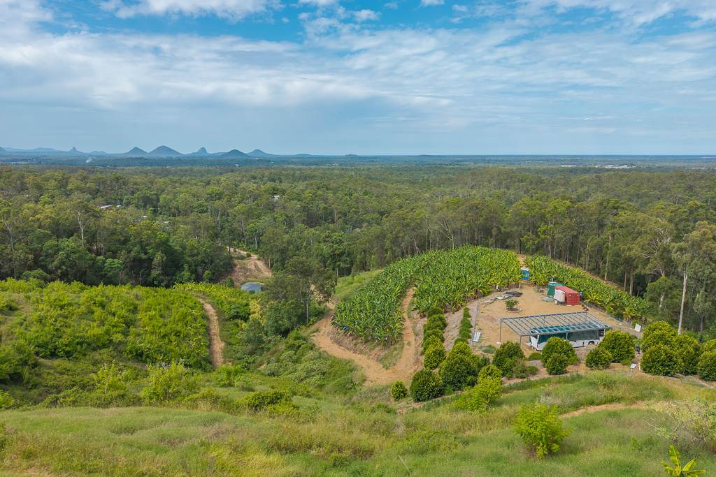 349 Jackson Road, Wamuran For Sale by Farmbuy.com - image 24