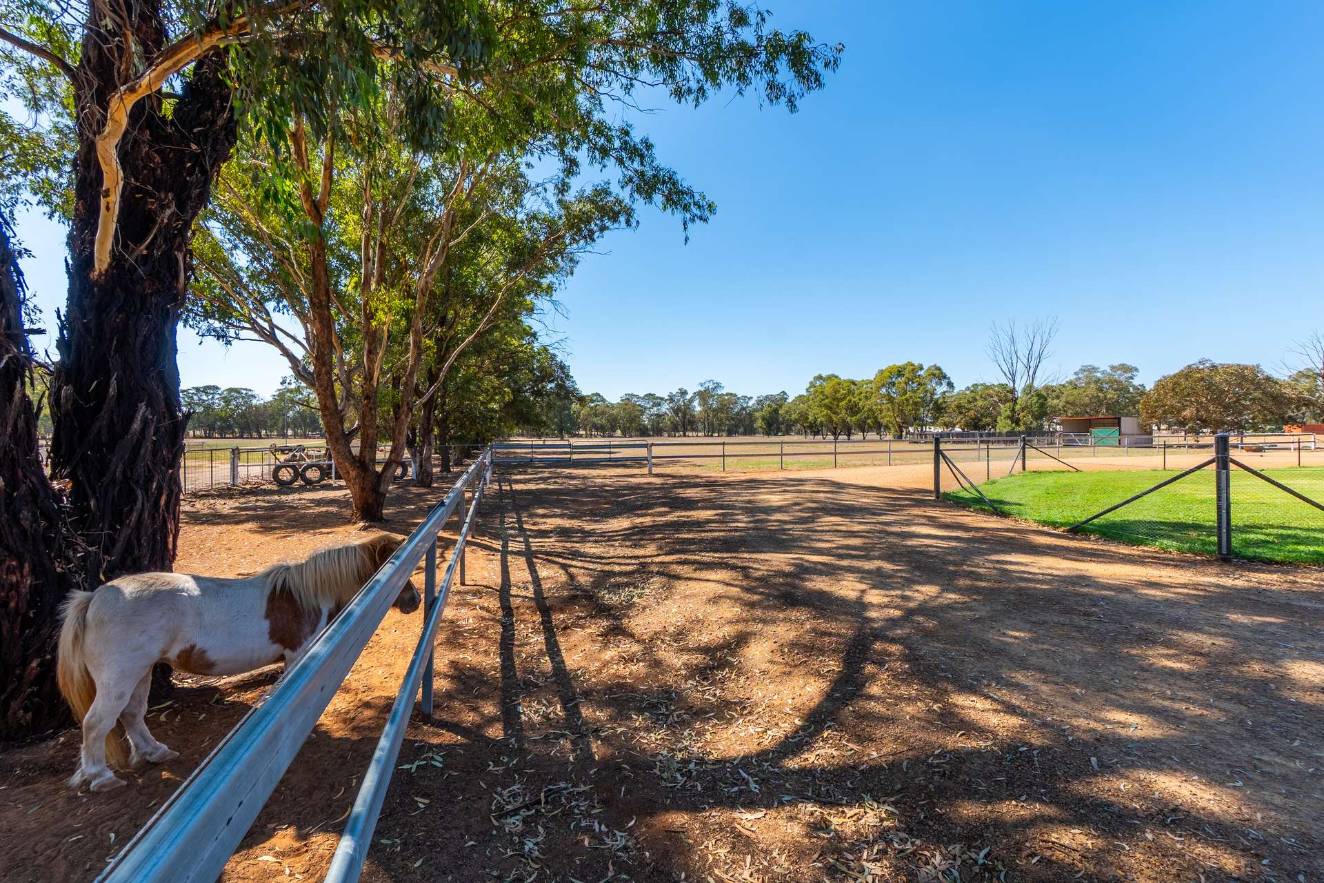 2 Killarney Street, Temora For Sale by Farmbuy.com - image 3