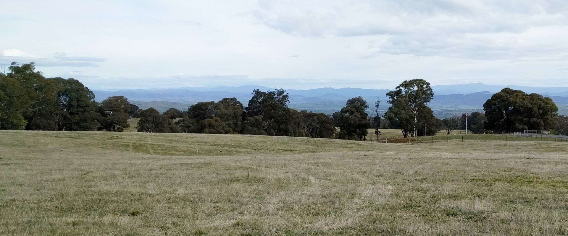 33 Ambrose Drive, Tolmie For Sale by Farmbuy.com - image 5