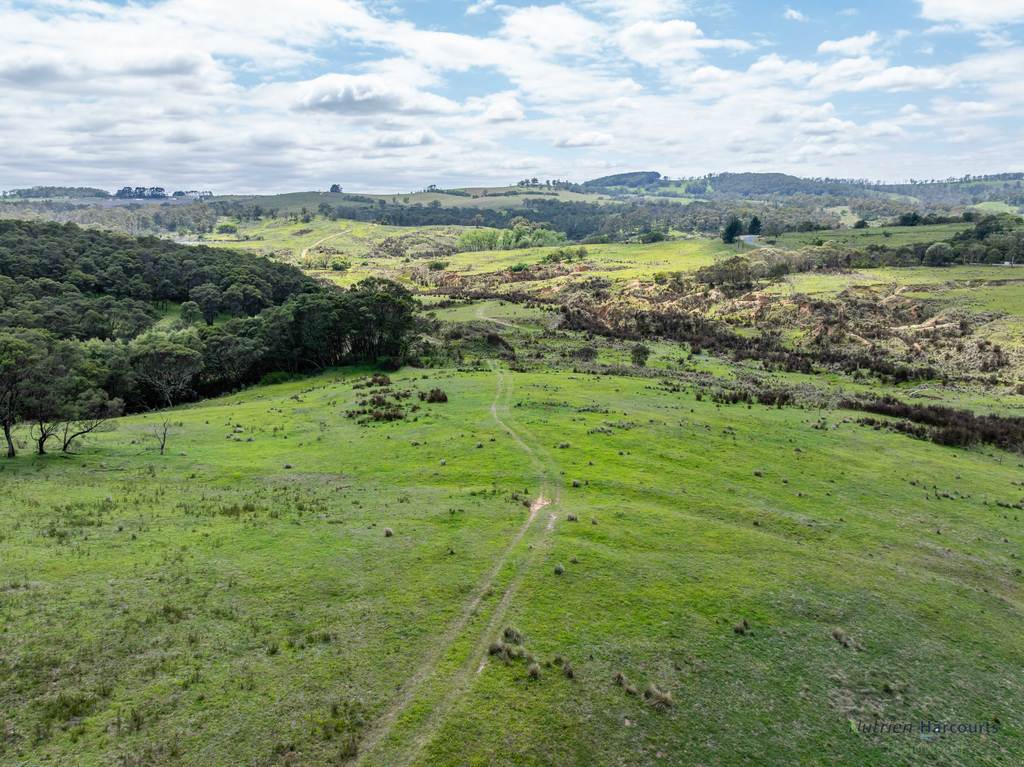 1130 Majors Creek Road, Braidwood NSW 2622