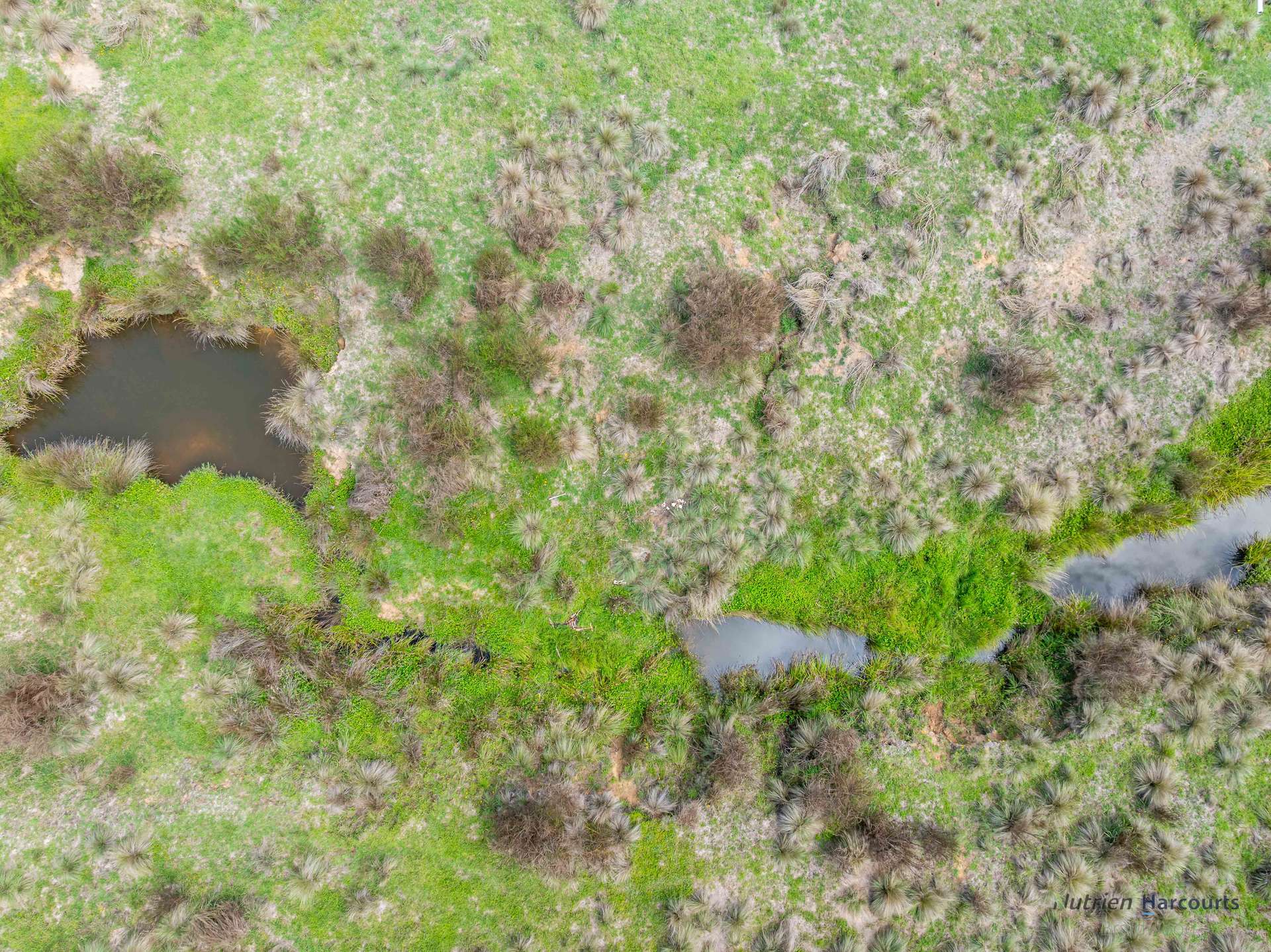 1130 Majors Creek Road, Braidwood For Sale by Farmbuy.com - image 6