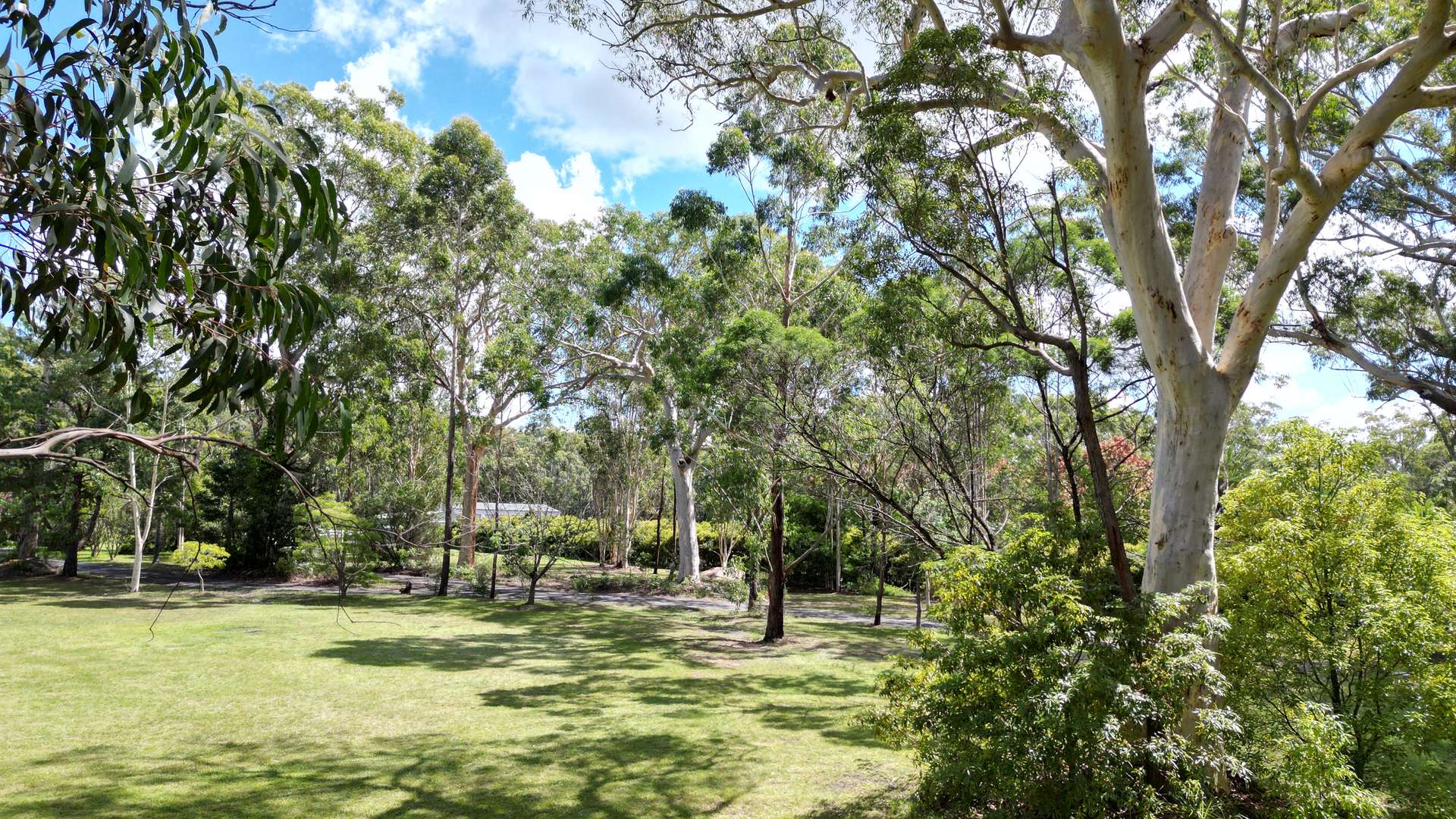 406 Worrigee Road, Worrigee For Sale by Farmbuy.com - image 27