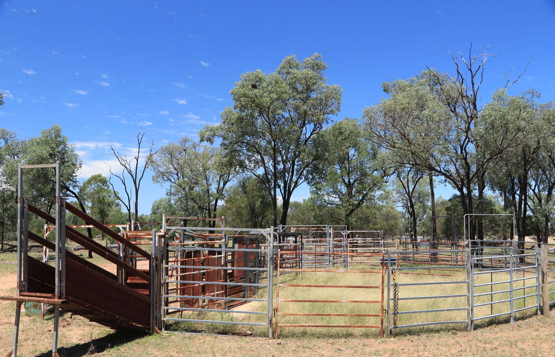 555 Yuleba Surat Road, Yuleba For Sale by Farmbuy.com - image 11