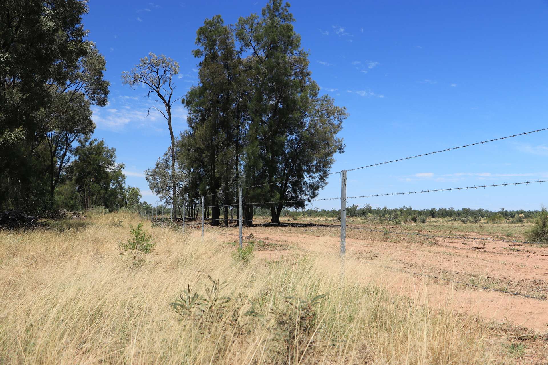 555 Yuleba Surat Road, Yuleba For Sale by Farmbuy.com - image 7