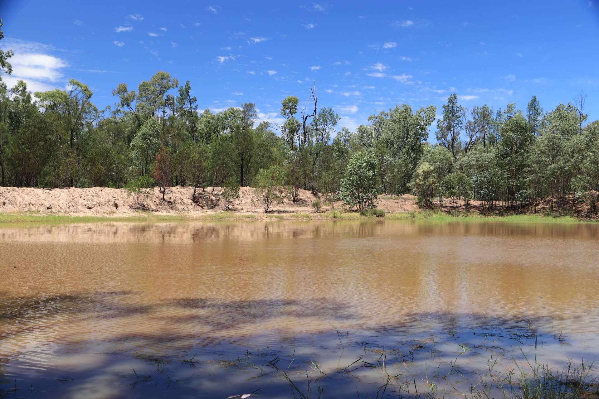 555 Yuleba Surat Road, Yuleba For Sale by Farmbuy.com - image 24