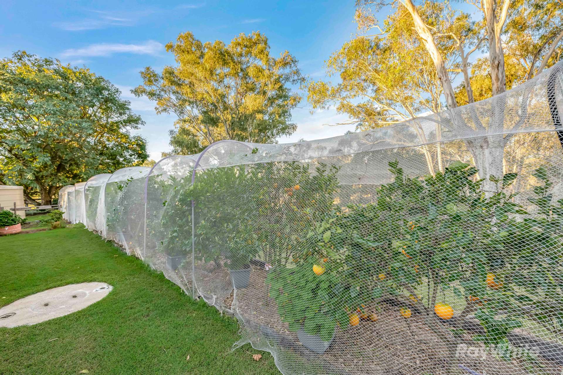 188 Leathers Road, Boolboonda For Sale by Farmbuy.com - image 32