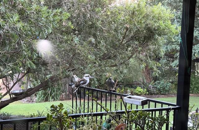 188 Leathers Road, Boolboonda For Sale by Farmbuy.com - image 33