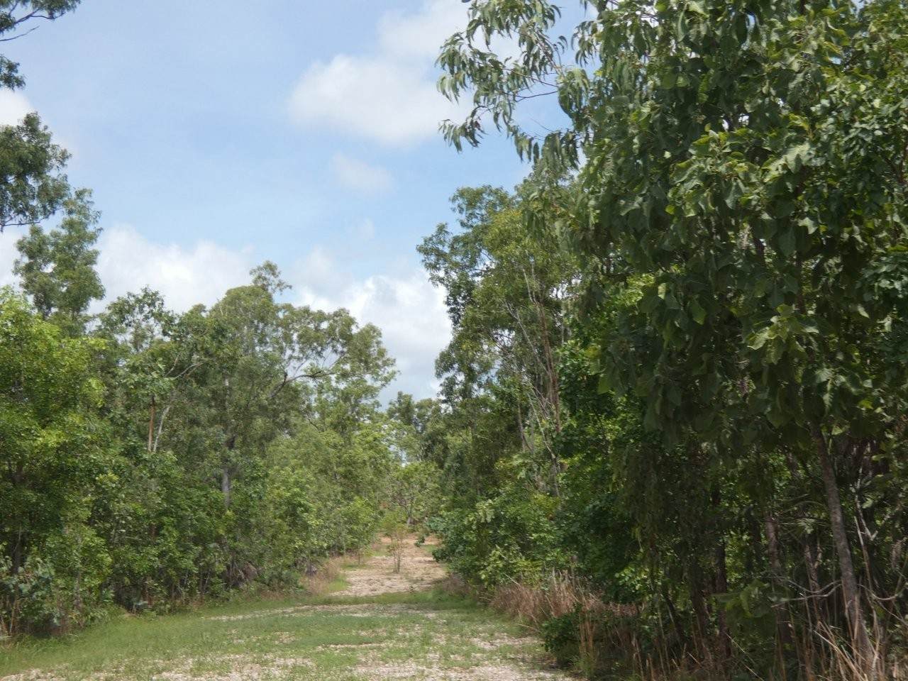 Blackmore Sold by Farmbuy.com - image 11