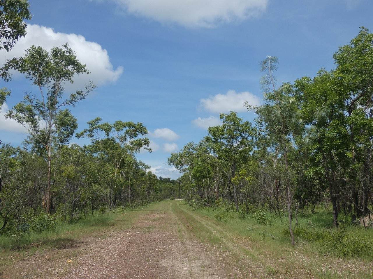 Blackmore Sold by Farmbuy.com - image 8