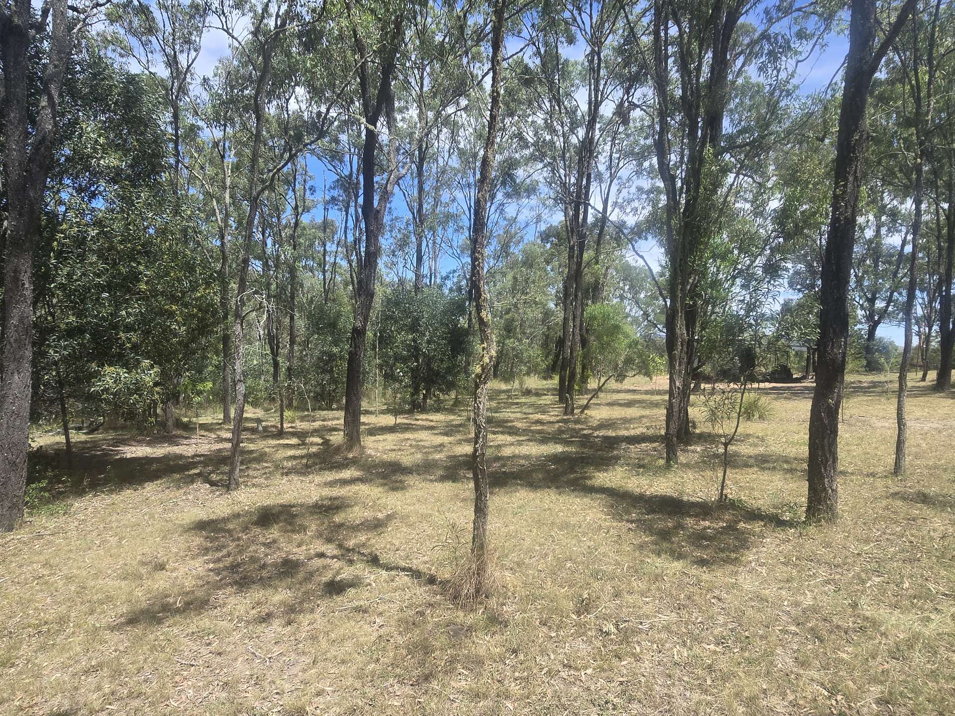 Lot 389 East Cooyar Road, Cooyar For Sale by Farmbuy.com - image 22