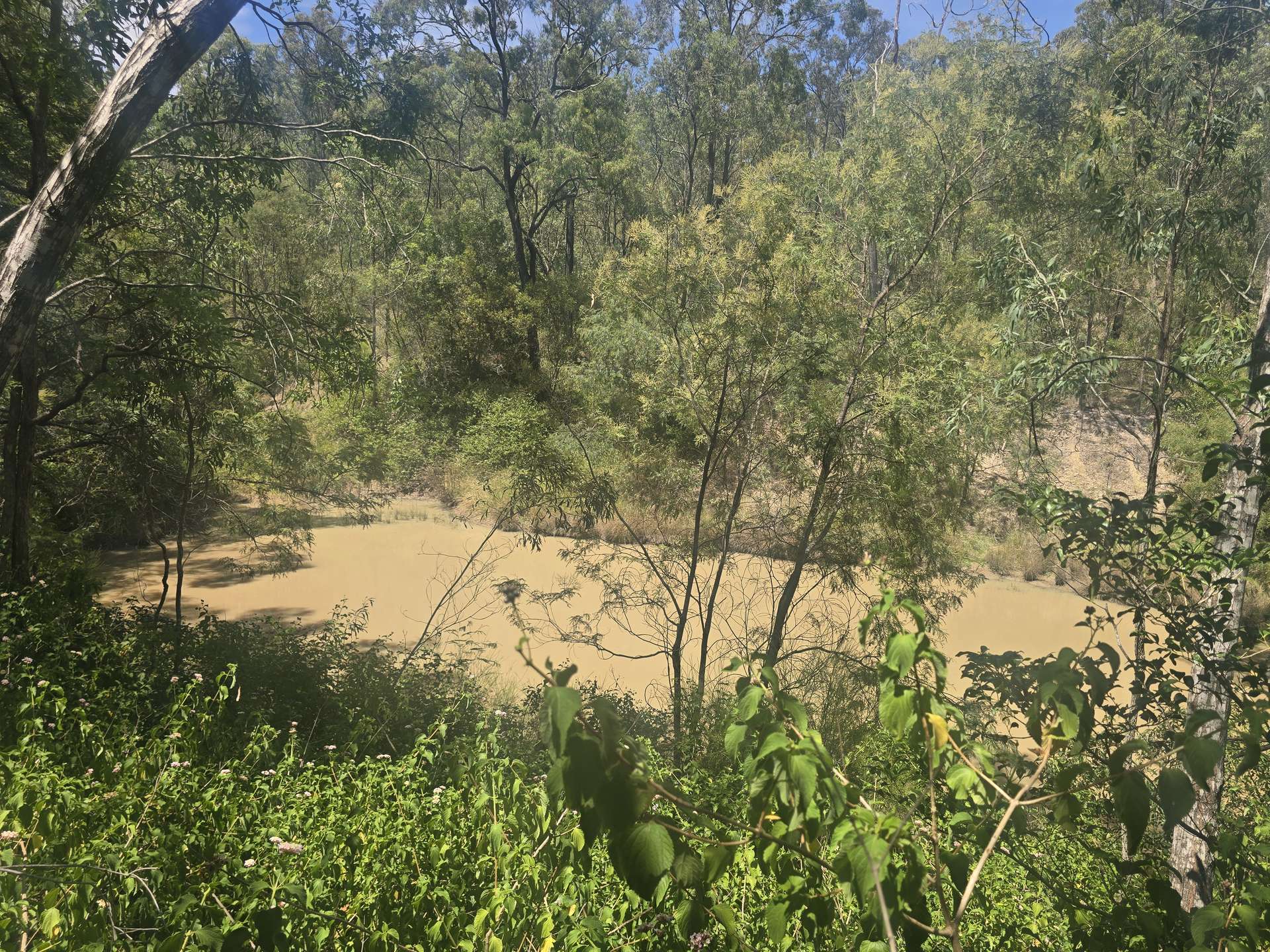 Lot 389 East Cooyar Road, Cooyar For Sale by Farmbuy.com - image 20