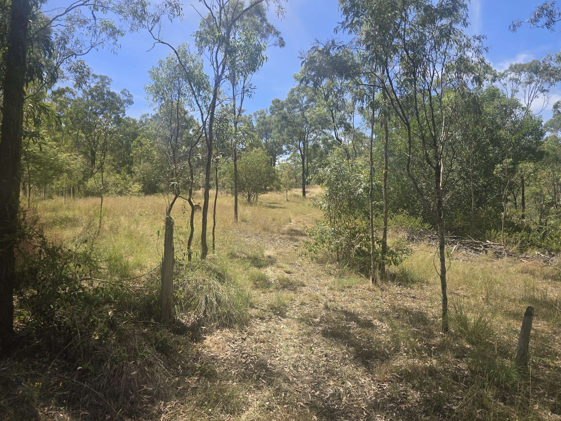 Lot 389 East Cooyar Road, Cooyar For Sale by Farmbuy.com - image 13