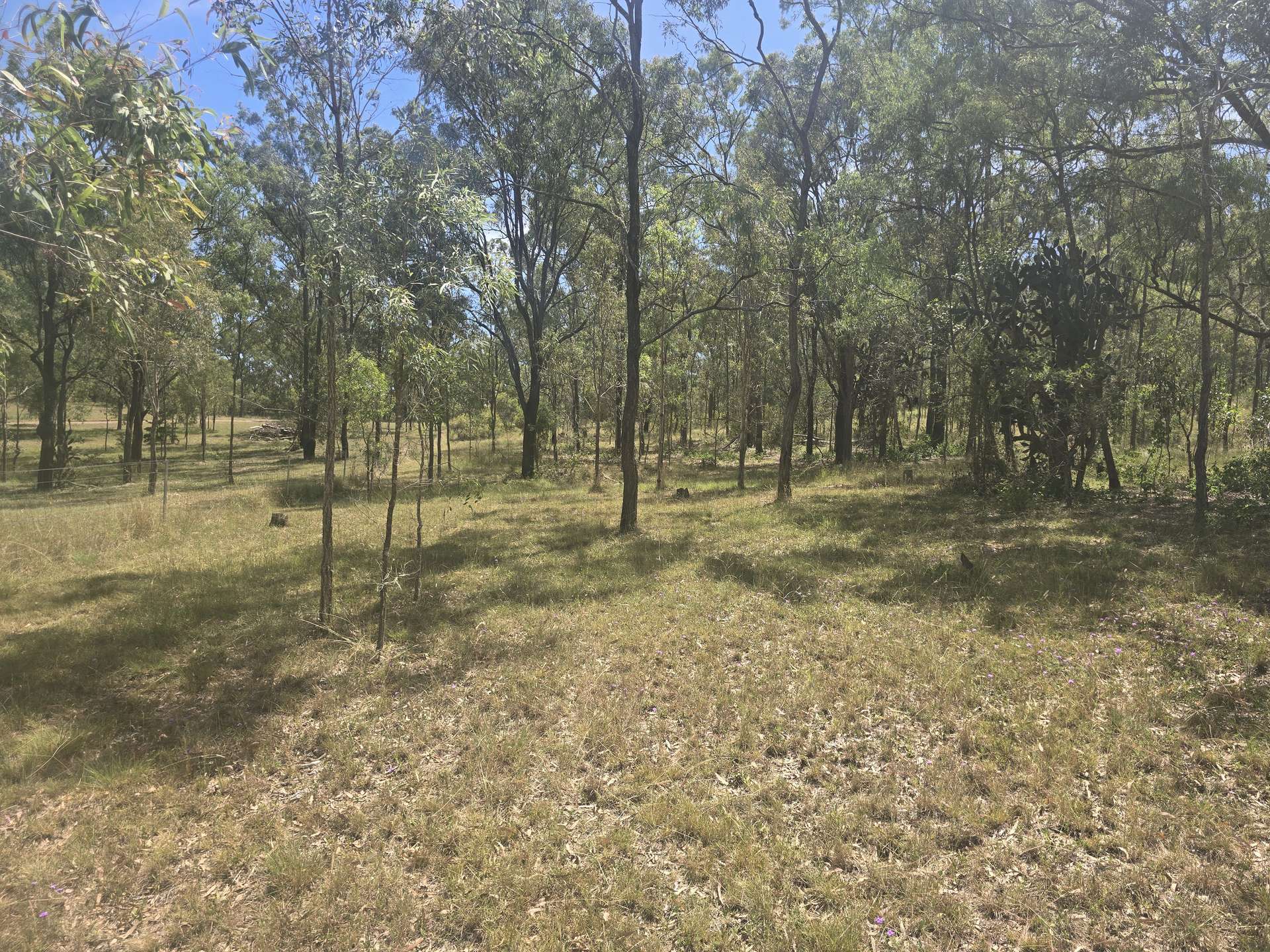Lot 389 East Cooyar Road, Cooyar For Sale by Farmbuy.com - image 12