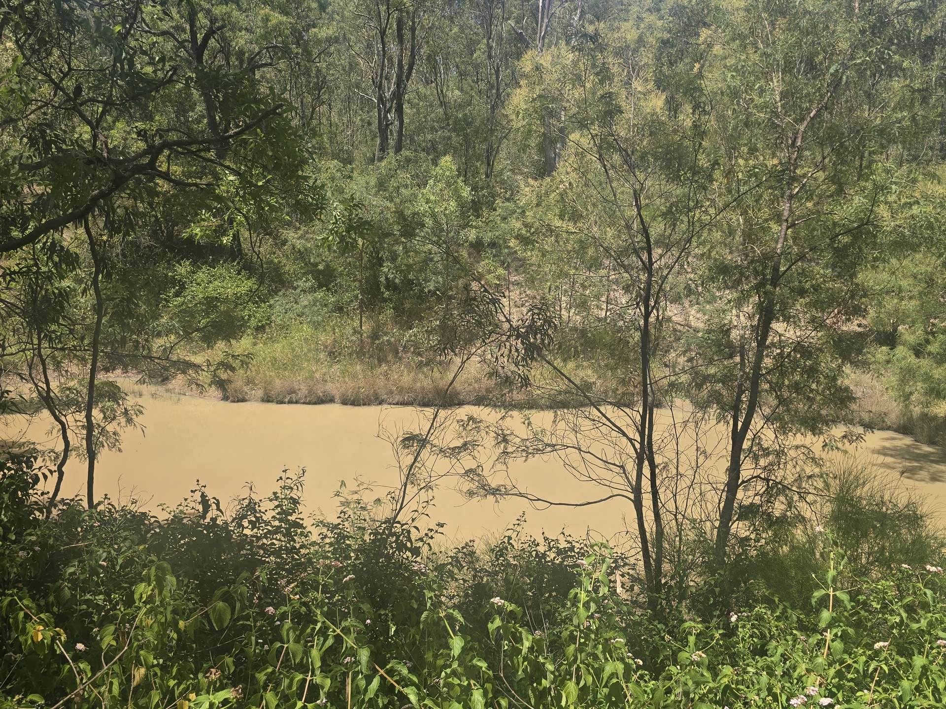 Lot 389 East Cooyar Road, Cooyar For Sale by Farmbuy.com - image 21