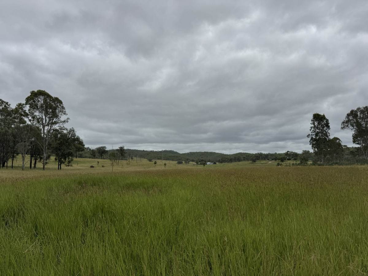 1609 Monal Road, Monto For Sale by Farmbuy.com - image 6