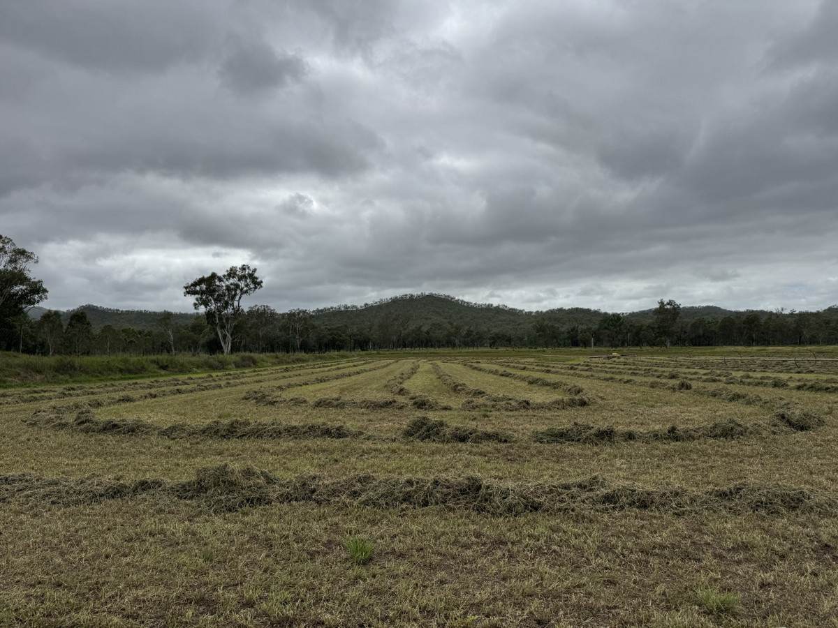 1609 Monal Road, Monto For Sale by Farmbuy.com - image 17