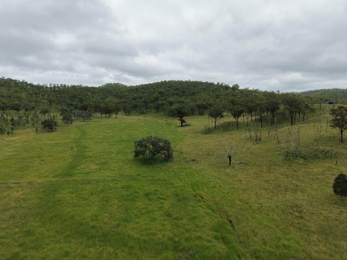 1609 Monal Road, Monto For Sale by Farmbuy.com - image 22