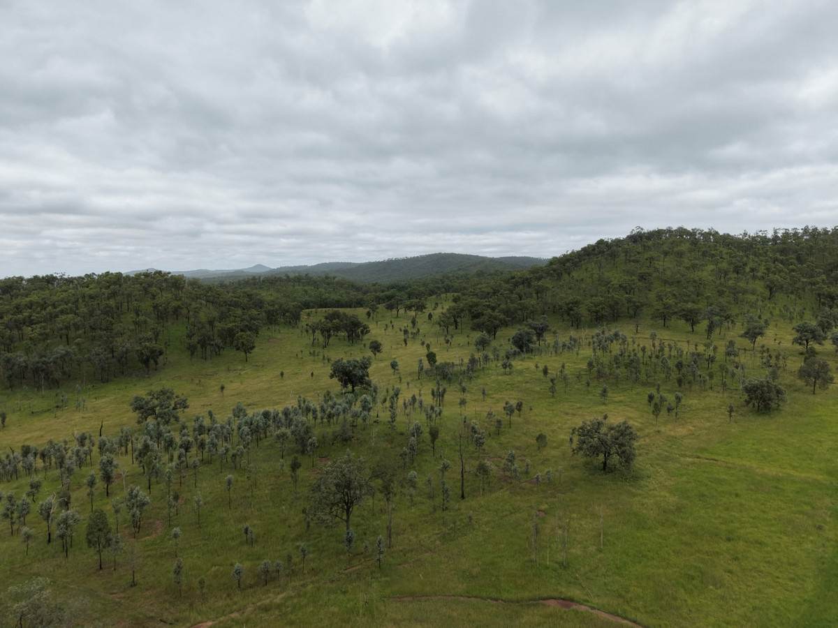 1609 Monal Road, Monto For Sale by Farmbuy.com - image 24