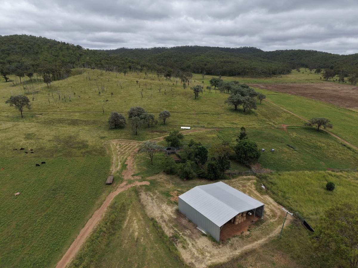 1609 Monal Road, Monto For Sale by Farmbuy.com - image 12