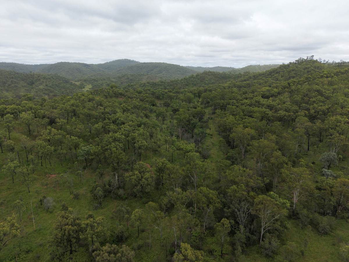 1609 Monal Road, Monto For Sale by Farmbuy.com - image 26