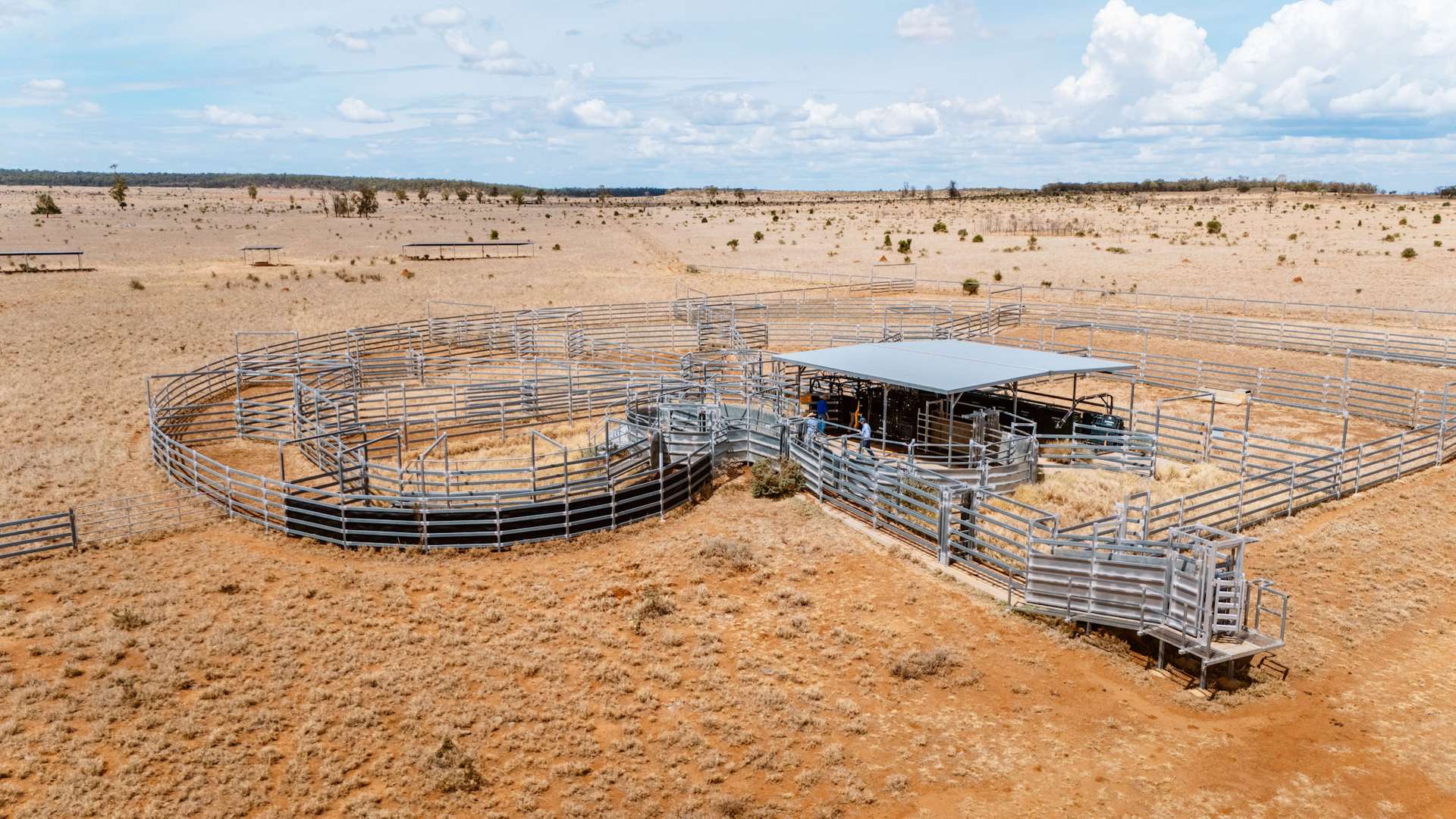 Tingun For Sale by Farmbuy.com - image 10