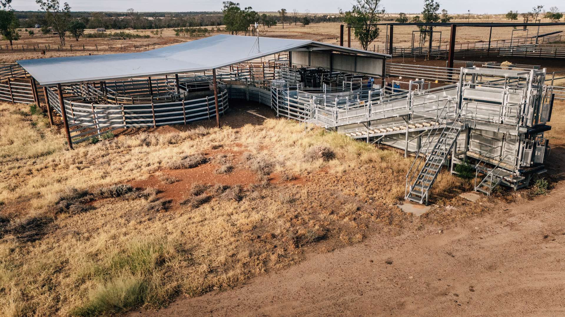 Tingun For Sale by Farmbuy.com - image 9