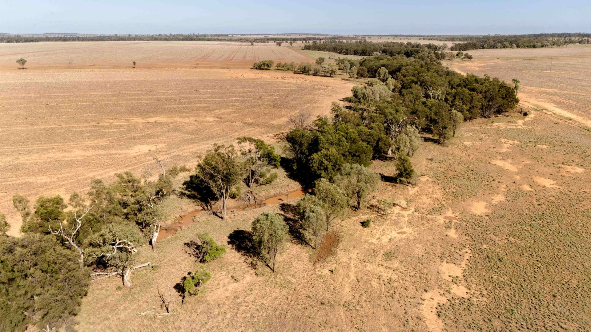 Tingun For Sale by Farmbuy.com - image 18