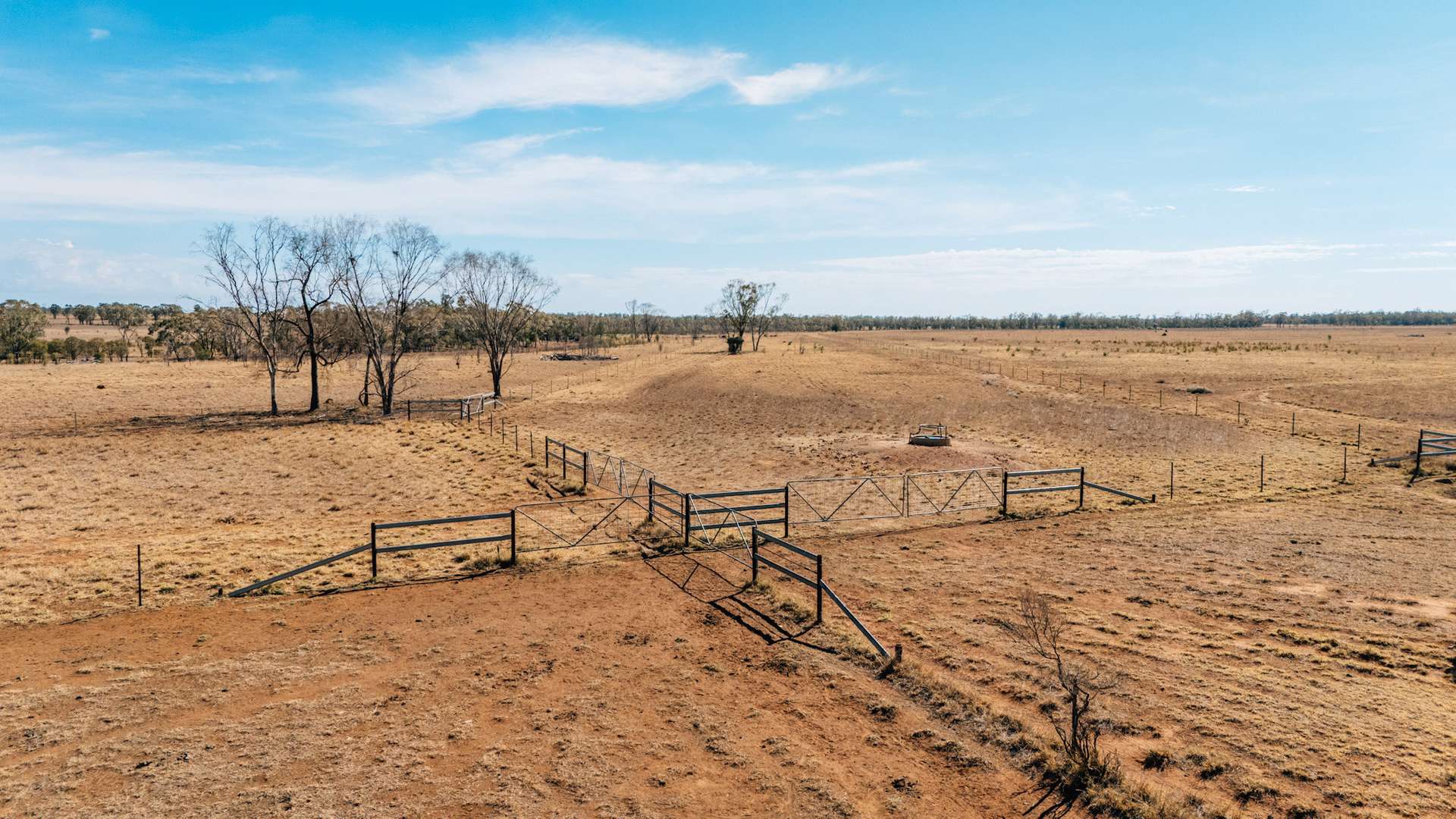 Tingun For Sale by Farmbuy.com - image 13