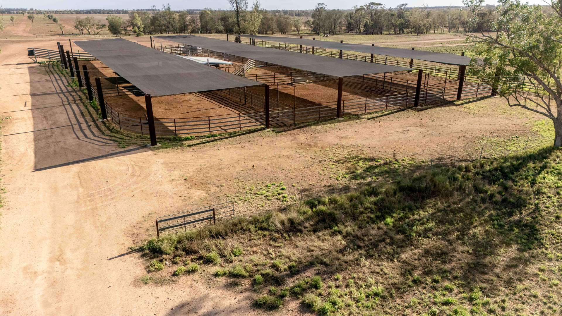 Tingun For Sale by Farmbuy.com - image 25